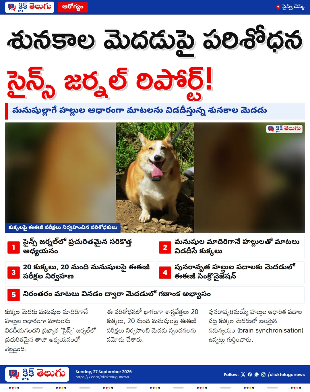 మనుషుల్లాగే మాటలు విడదీస్తున్న కుక్కలు