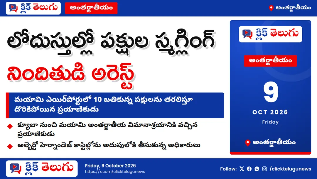 లోదుస్తుల్లో పక్షుల స్మగ్లింగ్.. మయామి ఎయిర్‌పోర్టులో నిందితుడి అరెస్ట్