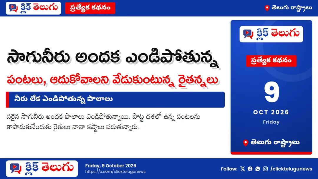 నీరు లేక ఎండిపోతున్న పొలాలు