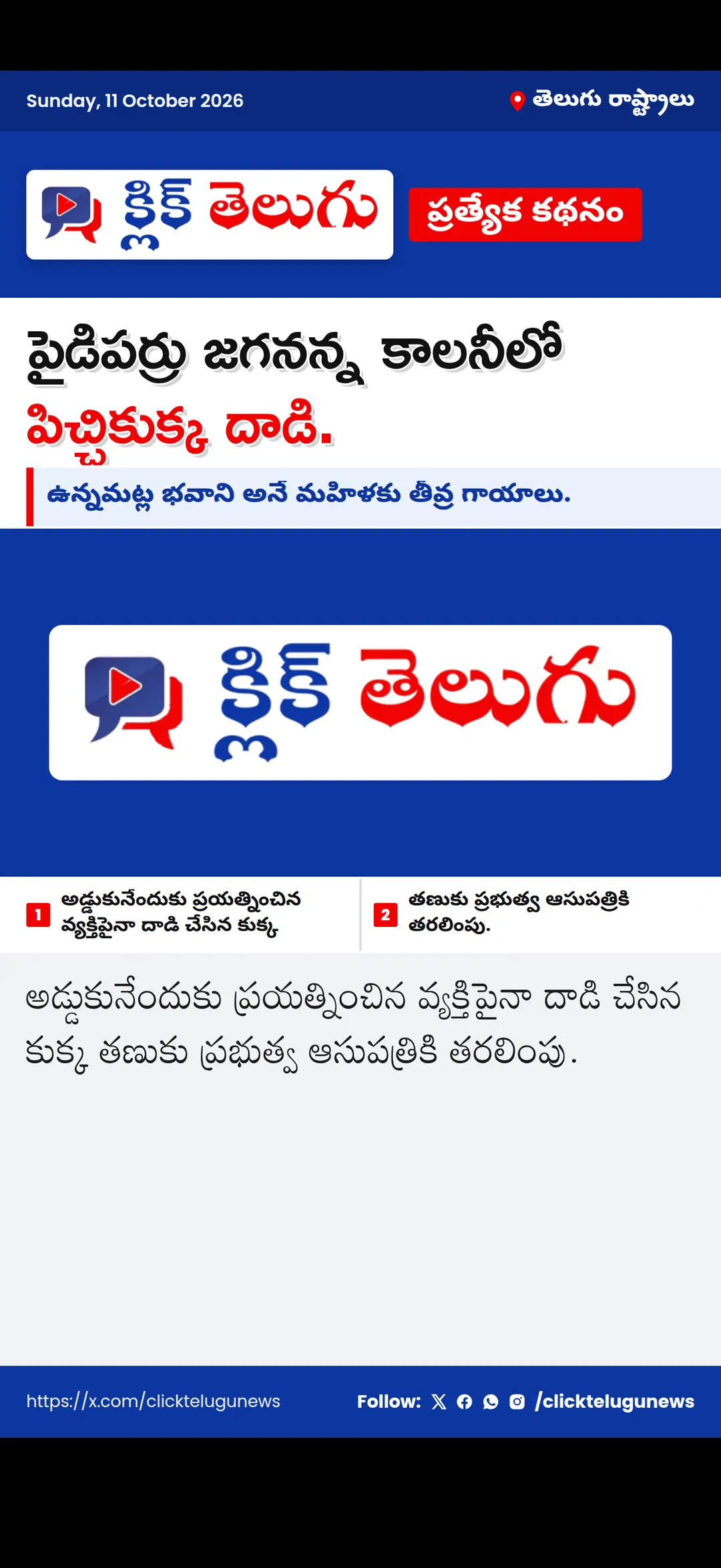 పైడిపర్రు జగనన్న కాలనీలో పిచ్చికుక్క దాడి.