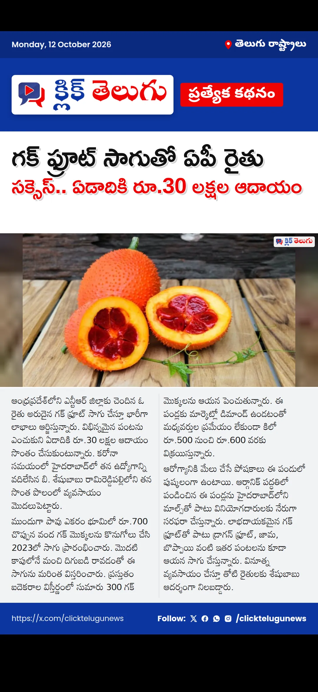 గక్ ఫ్రూట్ సాగుతో ఏపీ రైతు సక్సెస్.. ఏడాదికి రూ.30 లక్షల ఆదాయం