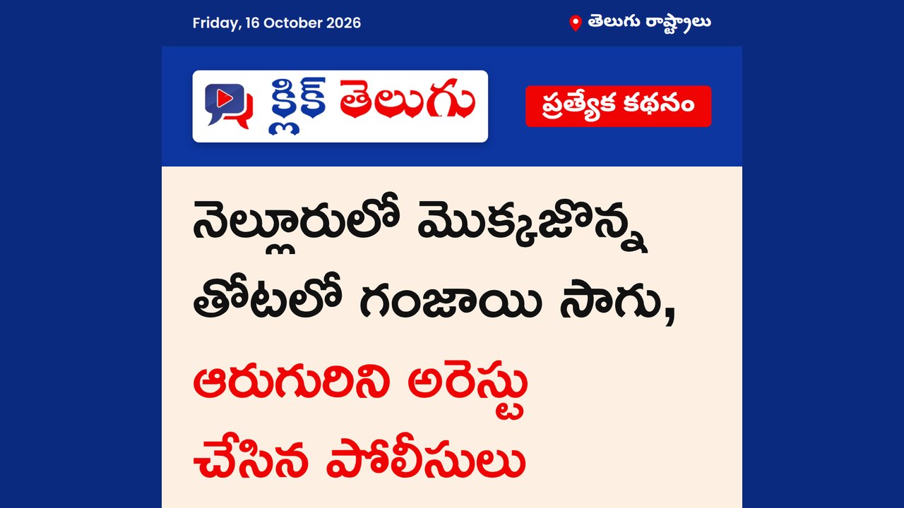 నెల్లూరులో గంజాయి సాగు పట్టివేత
