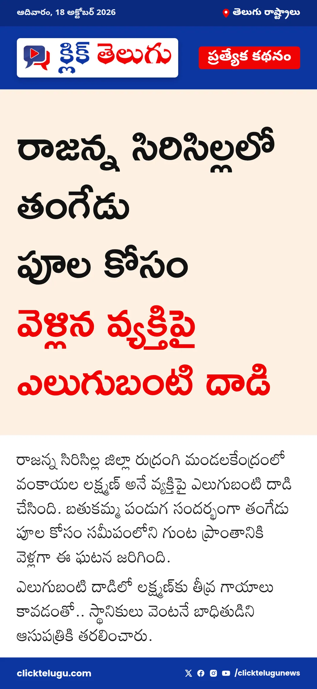 సిరిసిల్ల జిల్లాలో ఎలుగుబంటి దాడి