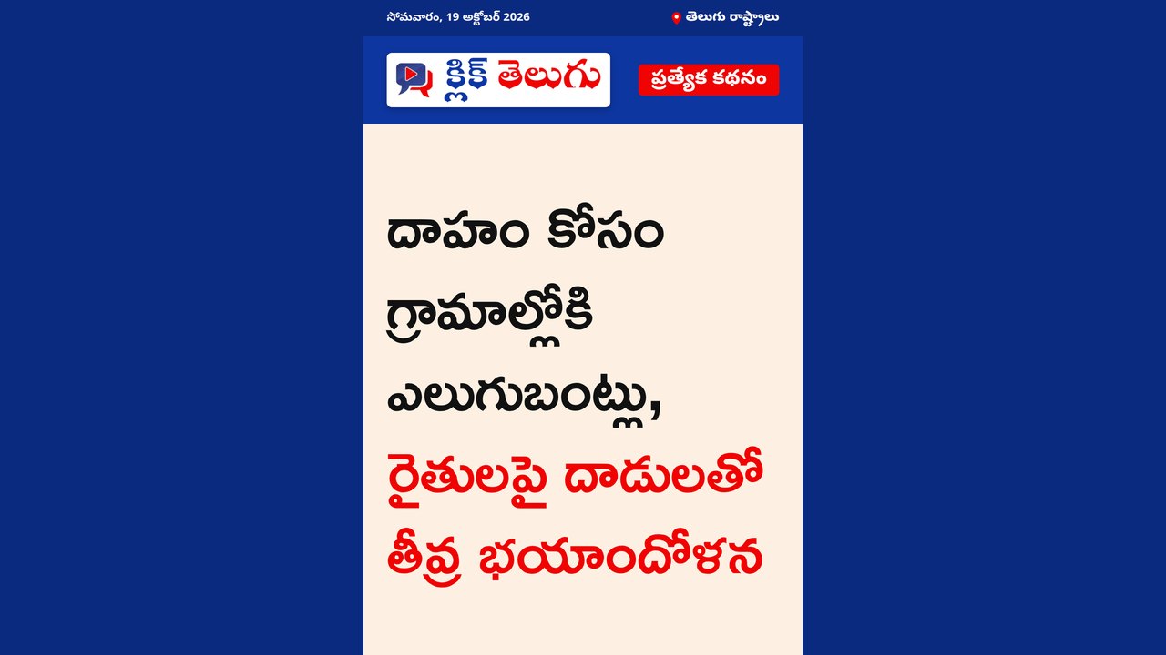 పొలాలు, గ్రామాలకు వస్తున్న ఎలుగుబంట్లు