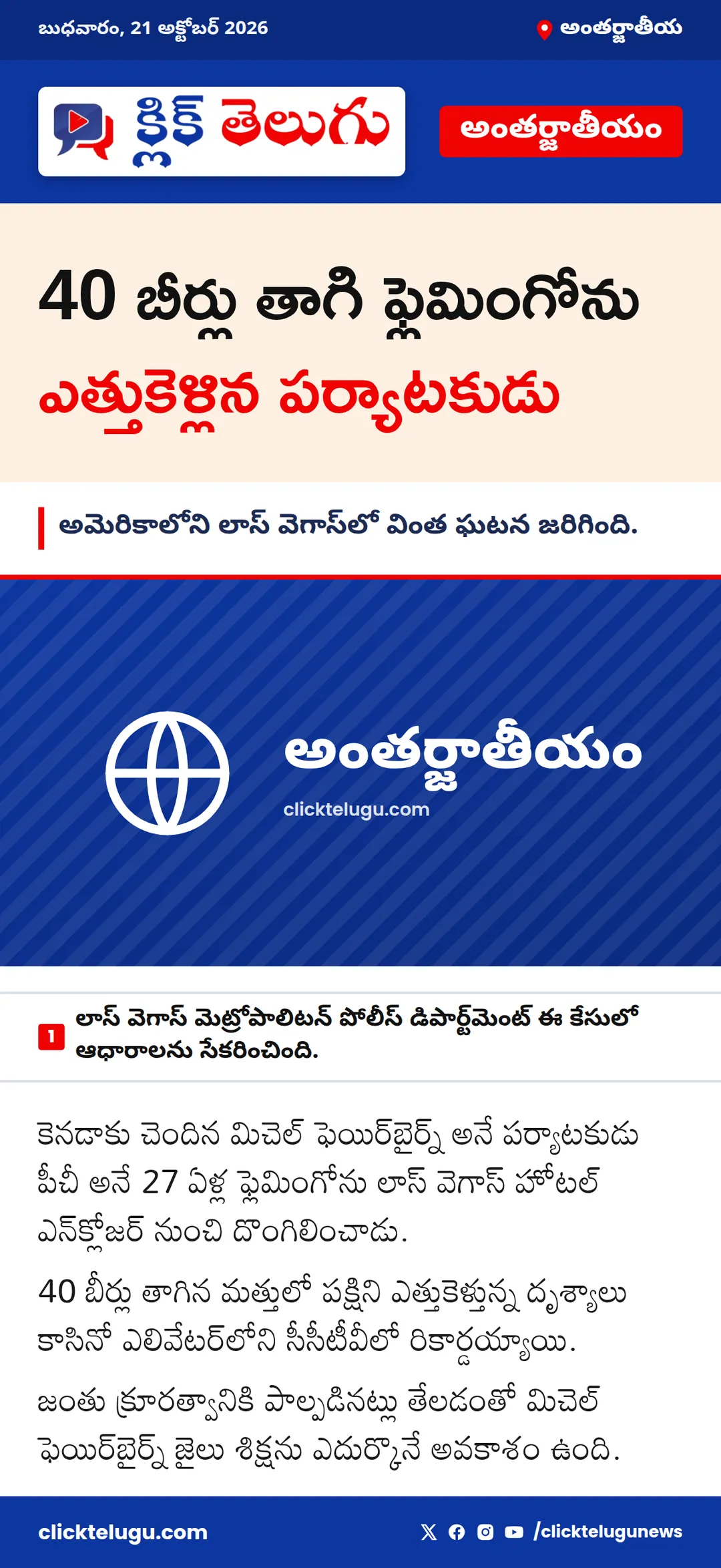 40 బీర్లు తాగి ఫ్లెమింగోను ఎత్తుకెళ్లిన పర్యాటకుడు