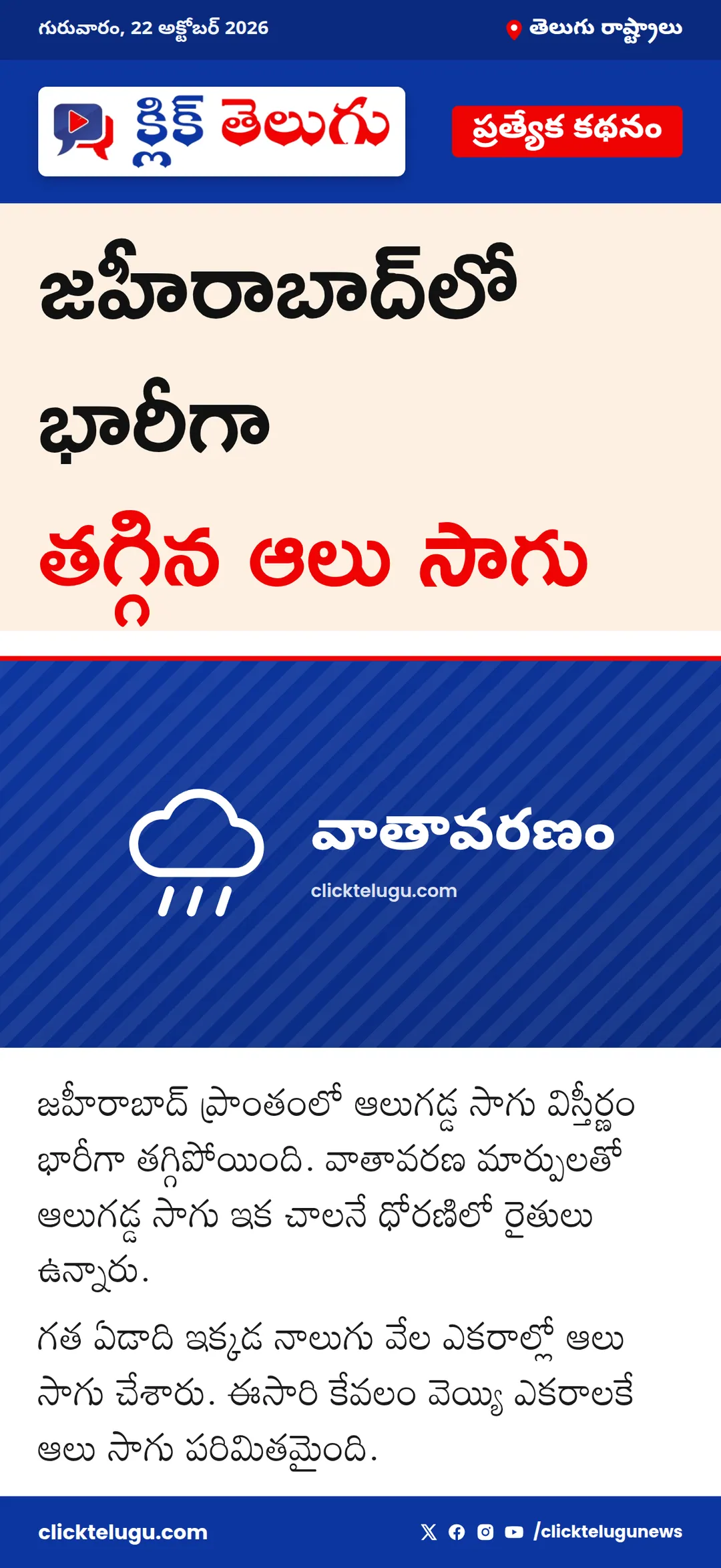 జహీరాబాద్‌లో భారీగా తగ్గిన ఆలు సాగు