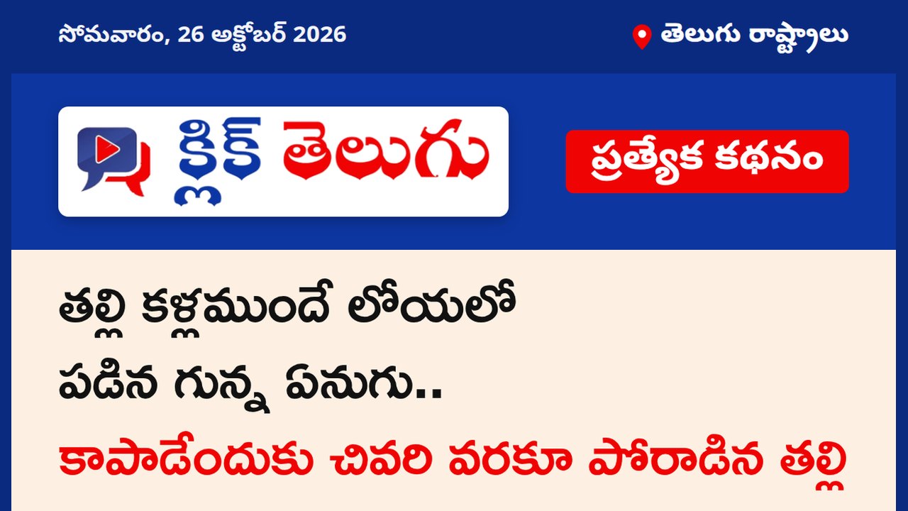 తల్లి కళ్లముందే లోయలో పడిన గున్న ఏనుగు.. కాపాడేందుకు చివరి వరకూ పోరాడిన తల్లి