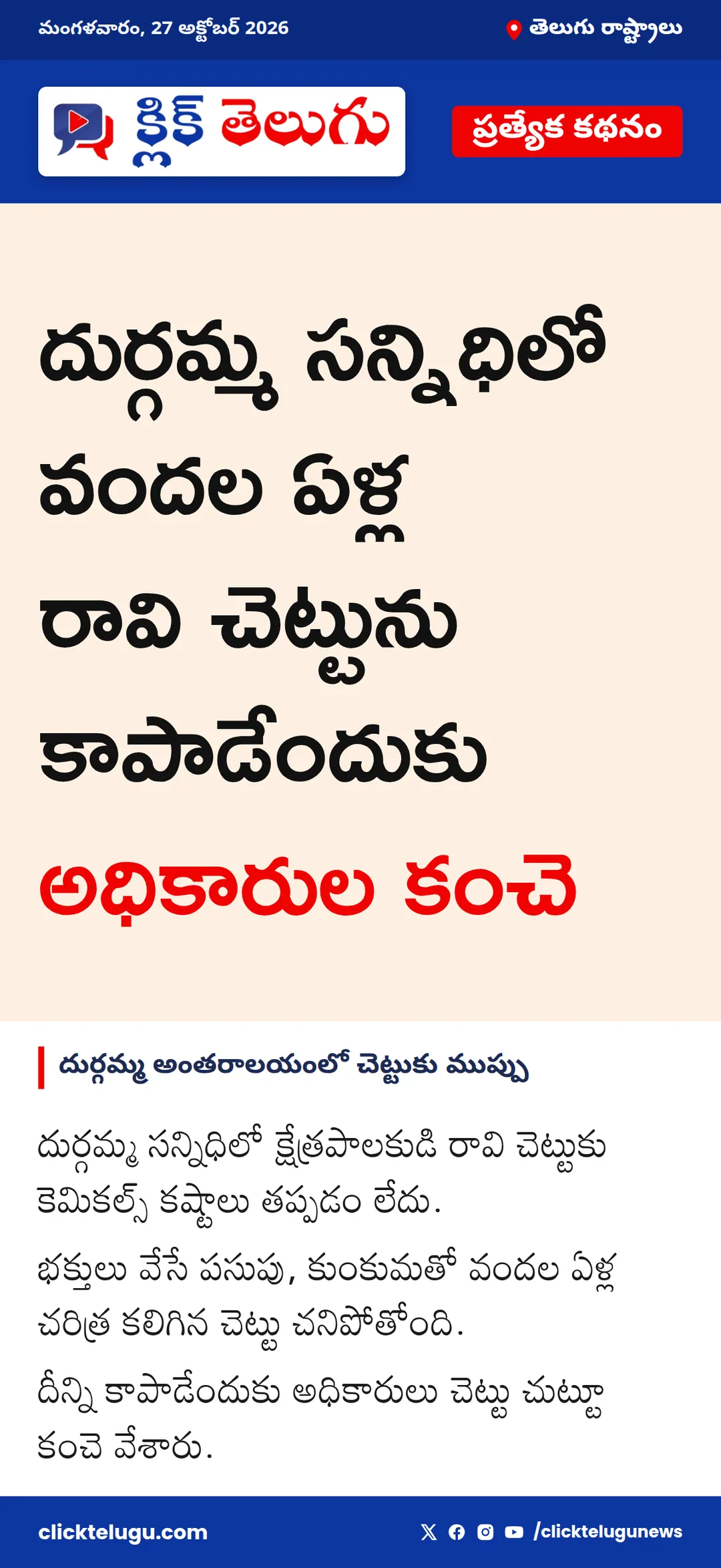 దుర్గమ్మ అంతరాలయంలో చెట్టుకు ముప్పు