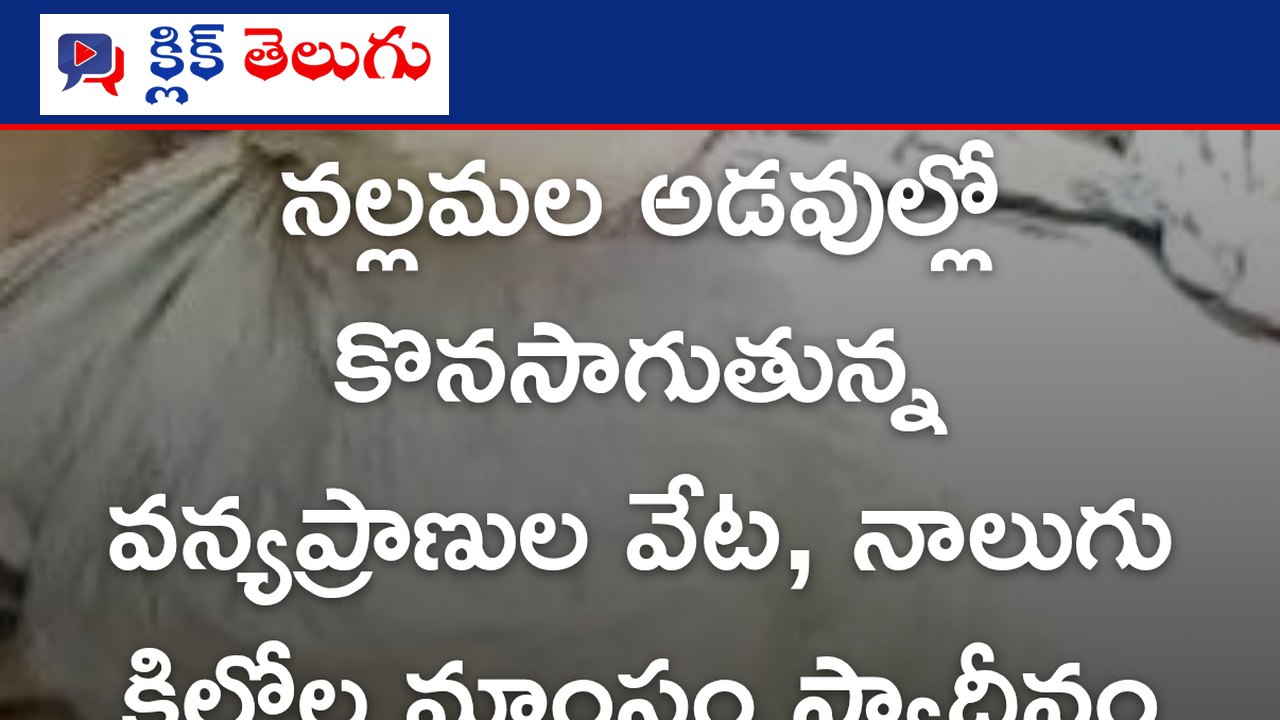 నల్లమల అడవుల్లో వన్యప్రాణుల వేట