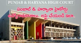 Punjab Haryana High court